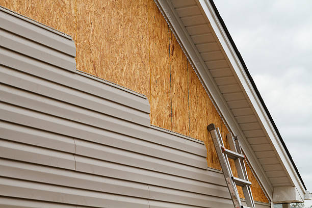 Professional Siding Repair technician working in Clayton, GA